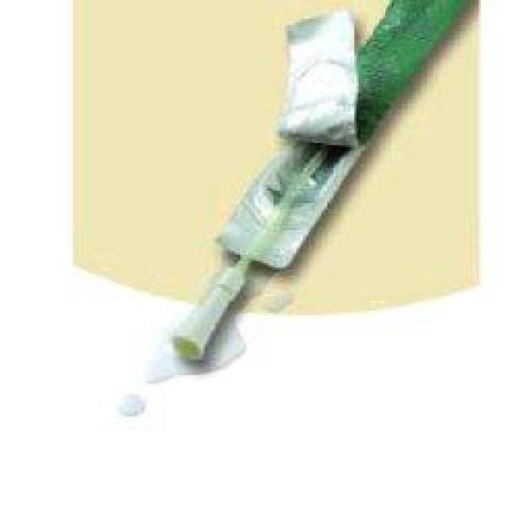 SPEEDICATH  Nel.D Ch12 28512