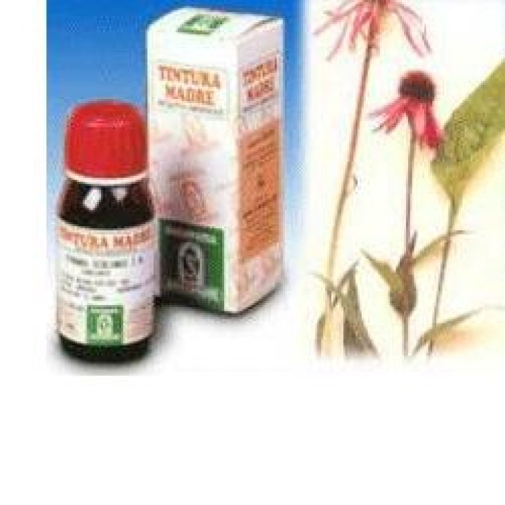 SP.ECHINACEA ANGUS. TM 50ml SP.ECHINACEA ANGUS. TM 50ml