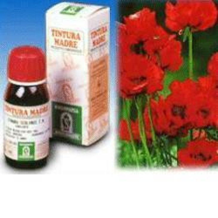 SP.ESCOLZIA(Sol.Idroalc.13) SP.ESCOLZIA(Sol.Idroalc.13)