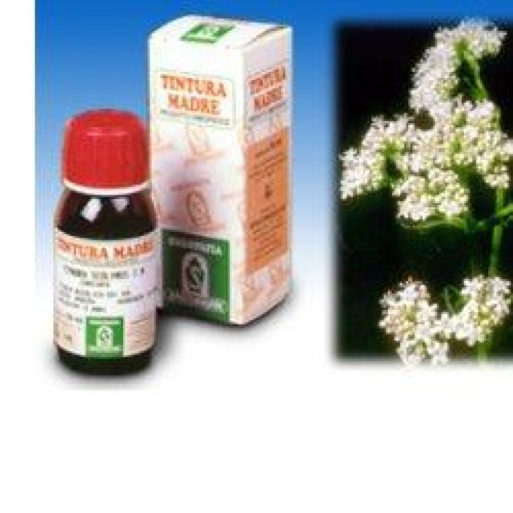 SP.VALERIANA Off.TM 50ml SP.VALERIANA Off.TM 50ml