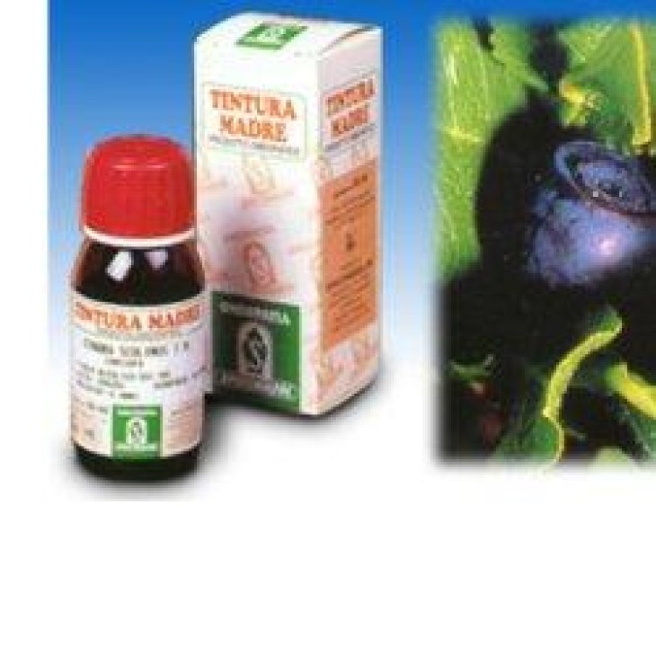 SP.MIRTILLO 31 TM 50ml SP.MIRTILLO 31 TM 50ml