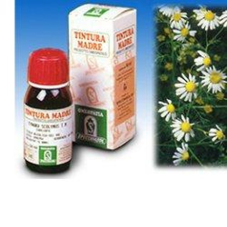 SP.CAMOMILLA 7 TM 50ml SP.CAMOMILLA 7 TM 50ml