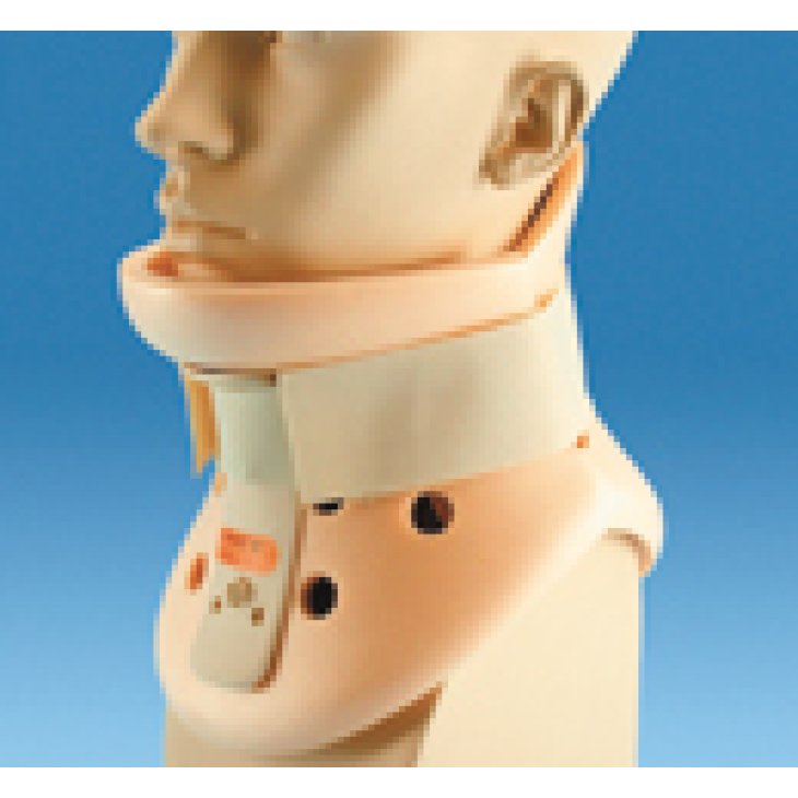 COLLARE-CERV PHILAD PIC SAFETY