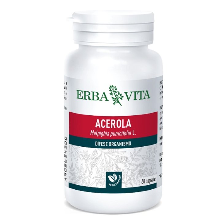 ACEROLA 60CPS 550MG EBV