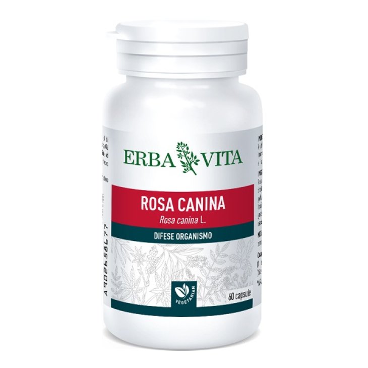 ROSA CANINA 60CPS 400MG ROSA CANINA 60CPS 400MG