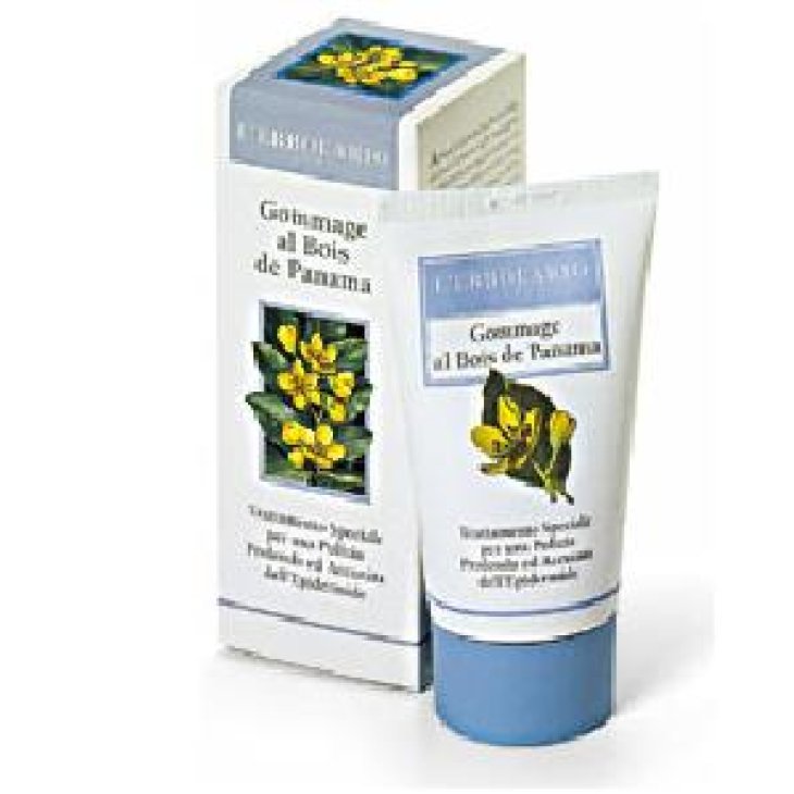 GOMMAGE VISO BOIS PANAMA/CRUSC