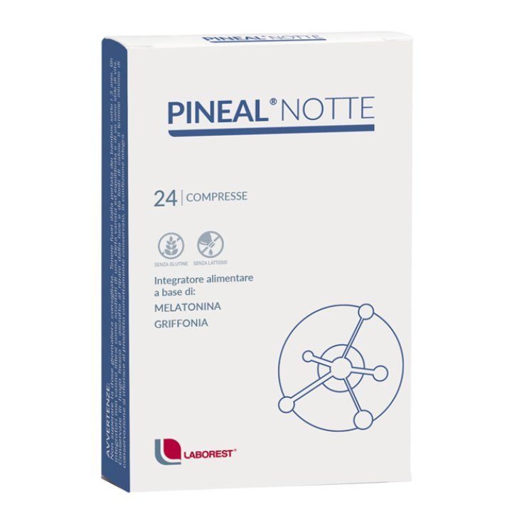 PINEAL NOTTE 24CPR<