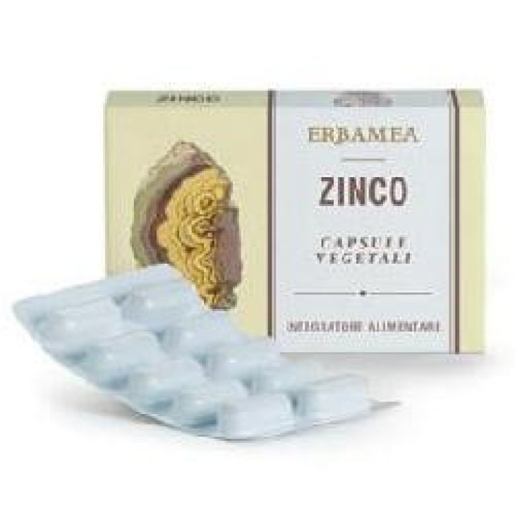 ZINCO 24 Cps Veg.EBM ZINCO 24 Cps Veg.EBM