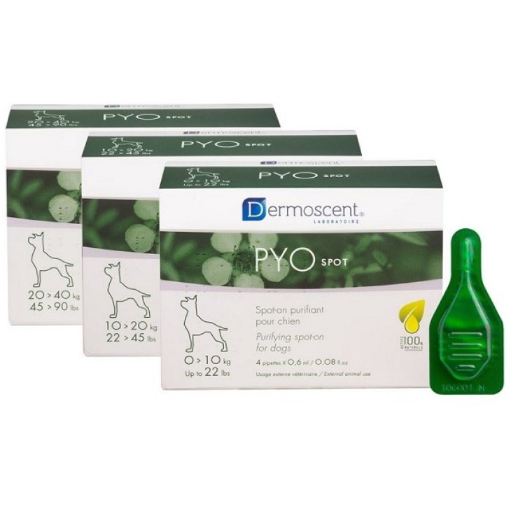 PYO Spot Cane 0-10Kg