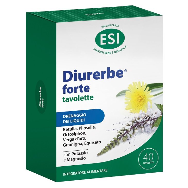 DIURERBE FORTE 40 TAV