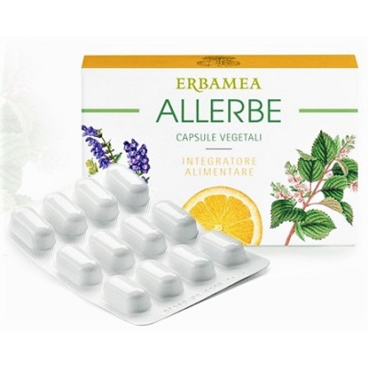 ALLERBE 24CPS ERBAMEA