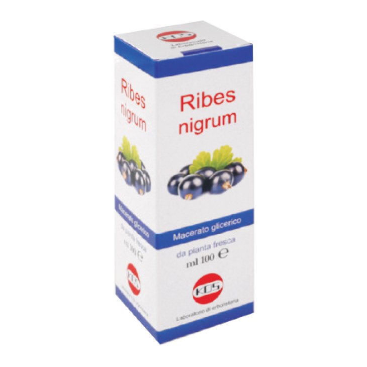 RIBES NIGRUM MG 100ML GTT KOS RIBES NIGRUM MG 100ML GTT KOS