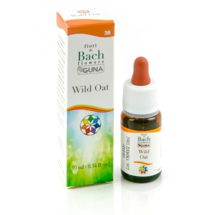 BACHFLOWERS 36 Wild Oat 10ml BACHFLOWERS 36 Wild Oat 10ml