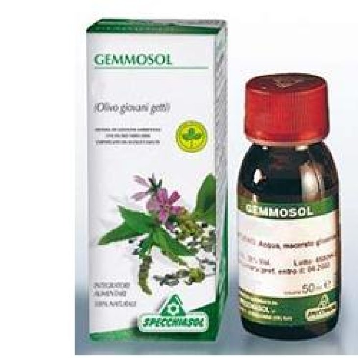SP.IPPOCASTANO 3 Gemmosol 50ml SP.IPPOCASTANO 3 Gemmosol 50ml