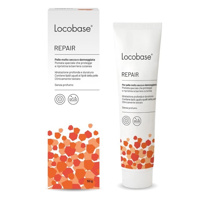 LOCOBASE-REPAIR 50G LOCOBASE-REPAIR 50G