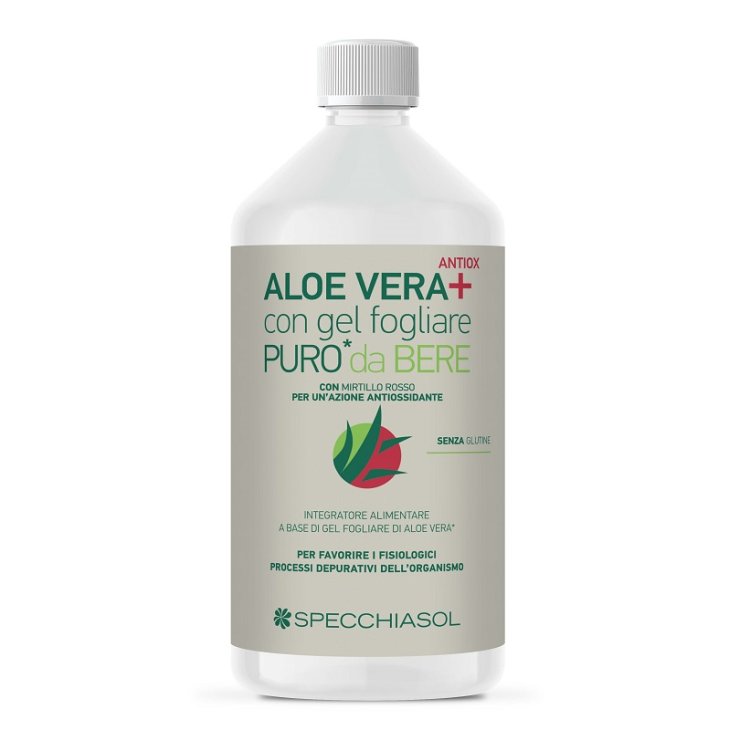 SUCCO ALOEVERA+ ALOE/MIRT R1LT SUCCO ALOEVERA+ ALOE/MIRT R1LT