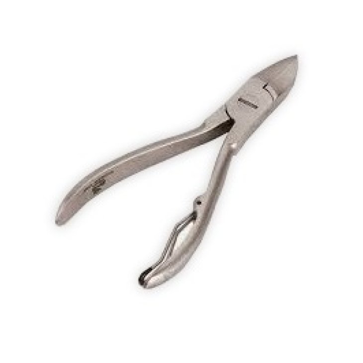 AVOCAD TRONCHESE TASCABILE P AVOCAD TRONCHESE TASCABILE P