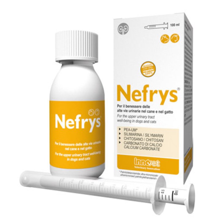 NEFRYS NEW 100 100ML C/SIR DOS