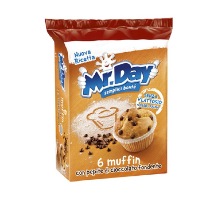 MR DAY MUFFIN C/PEPITE CIOC FO