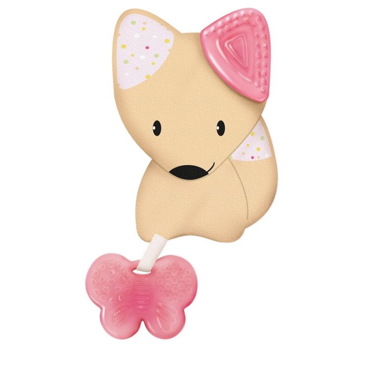 CH MassGeng.Friends Rosa 4m+ CH MassGeng.Friends Rosa 4m+