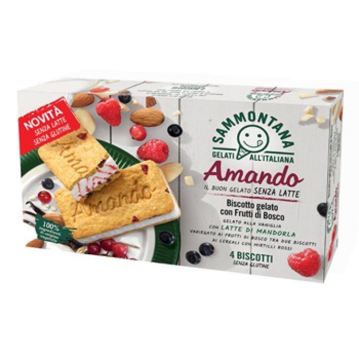 AMANDO BISCOTTO GELATO FRUT4PZ