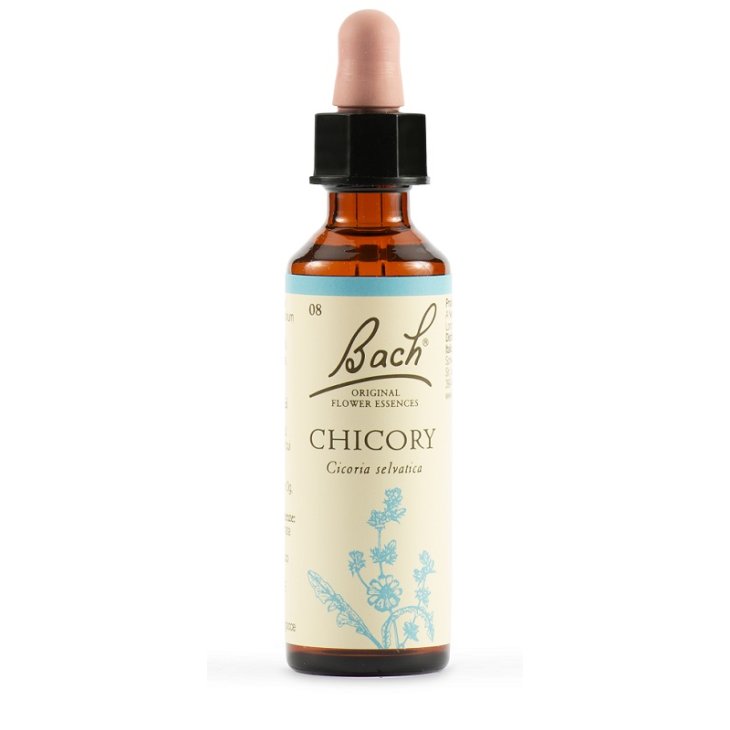 BACH 8 Chicory Gtt 20ml LKR BACH 8 Chicory Gtt 20ml LKR