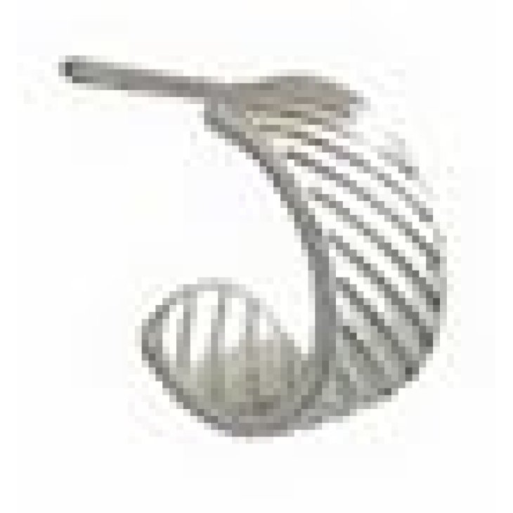 BJT981 ORECCHINI PARIS HOOP SS