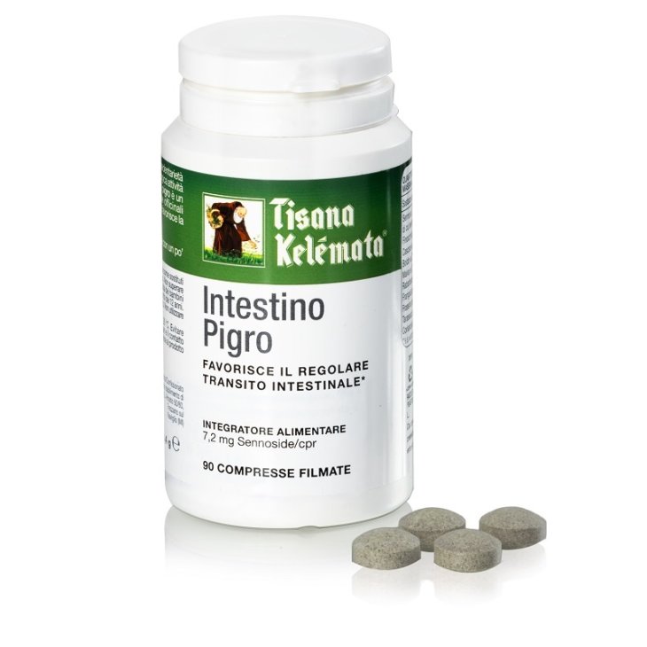 TISANA INTESTINO PIGRO 90CPR TISANA INTESTINO PIGRO 90CPR