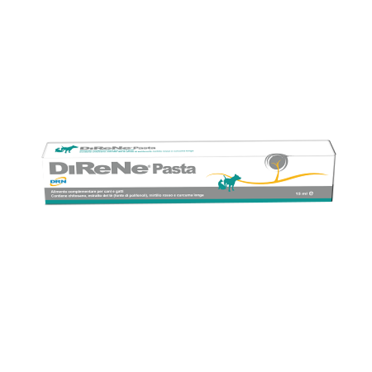 DIRENE PASTA 15ML DIRENE PASTA 15ML