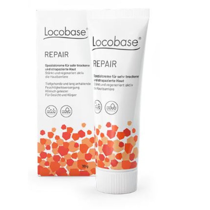 LOCOBASE-REPAIR 100G LOCOBASE-REPAIR 100G
