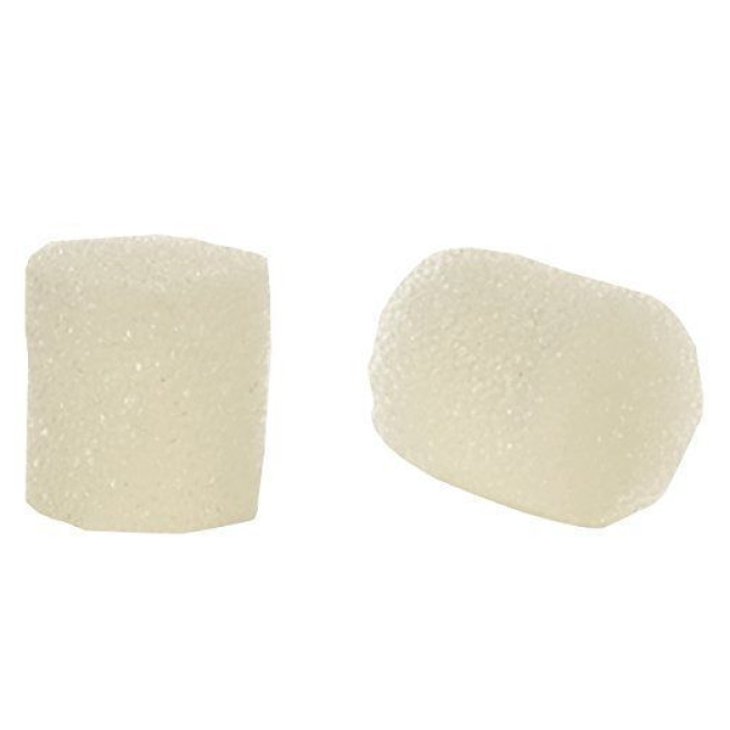 FLAEM Filtro Aerosol Porex 2pz FLAEM Filtro Aerosol Porex 2pz