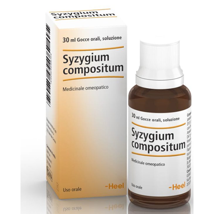 SYZYGIUM COMP GTT 30ML HEEL