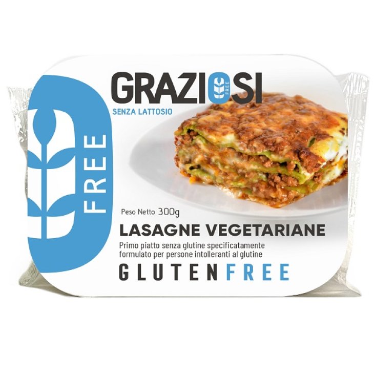 LASAGNE VEGETALI 300G LASAGNE VEGETALI 300G