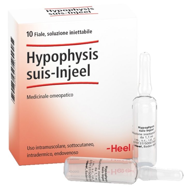 HYPOPHYSIS SUIS INJEEL HEEL