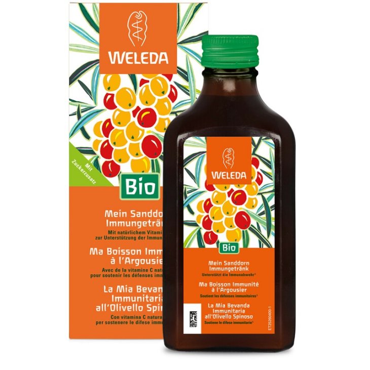 OLIVELLO SPINOSO VITAL SCIR