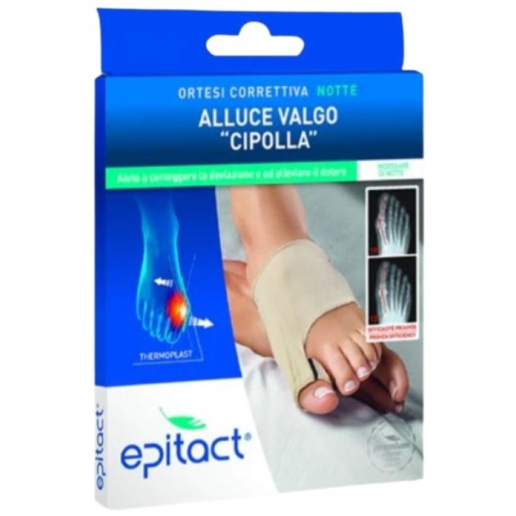 EPITACT Ort.Corr.D/P Dx M EPITACT Ort.Corr.D/P Dx M