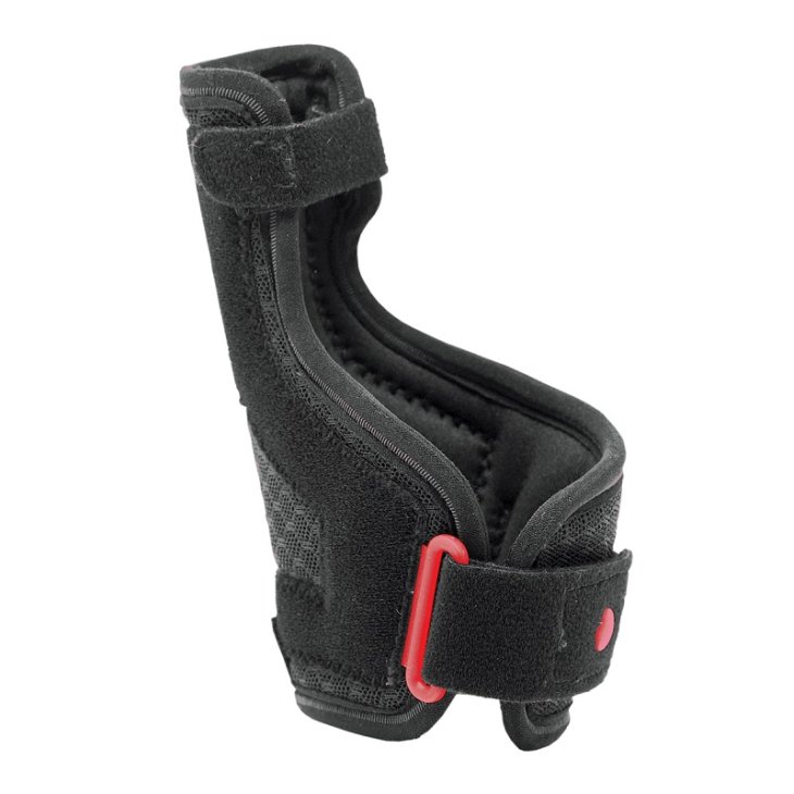 ERGOFORM Tut.Pollice 1 ERGOFORM Tut.Pollice 1