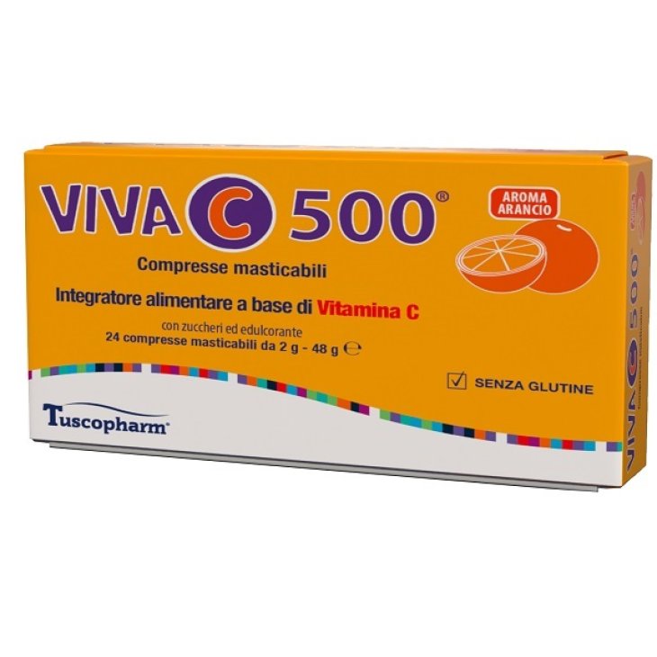 VIVA C 500 24CPR MASTIC