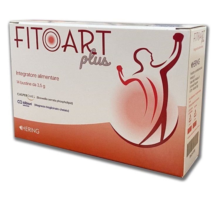 FITOART Plus 14 Bust. FITOART Plus 14 Bust.