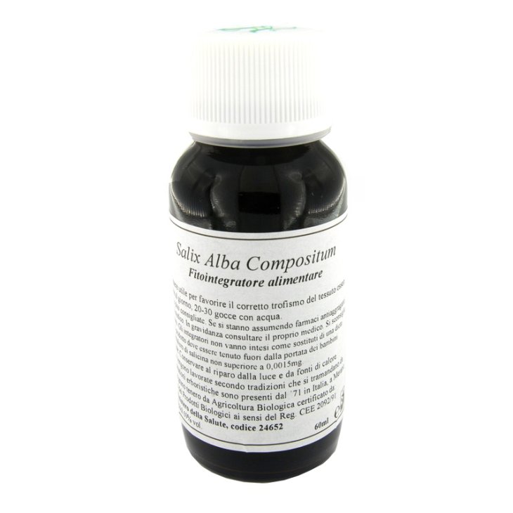 LVS 38N Salix Alba Comp.