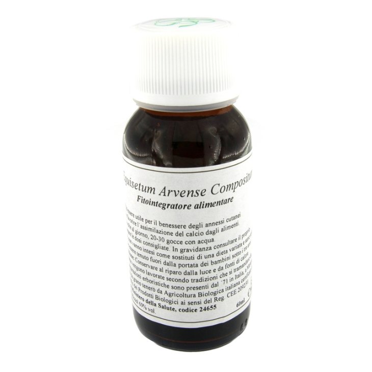 LVS 41N Equisetum Arv.Comp.