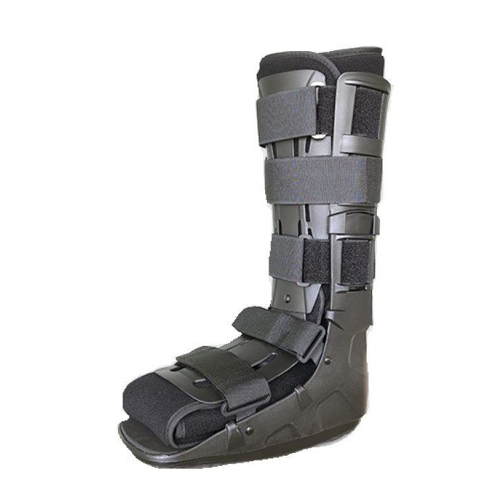 FGP Walker Fisso Econex No M