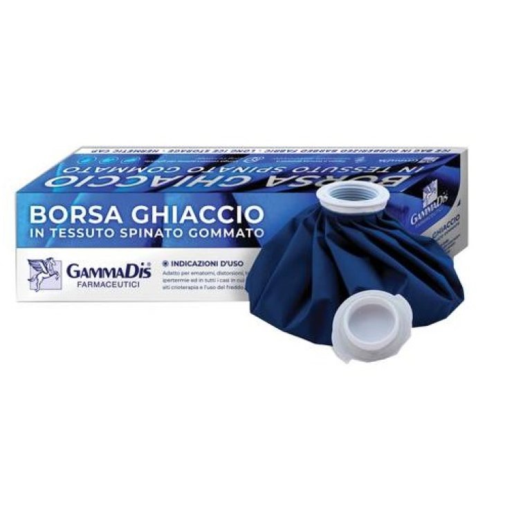 GAMMADIS Borsa Ghiaccio 25