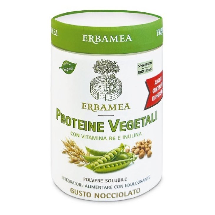 PROTEINE Veg.270g EBM