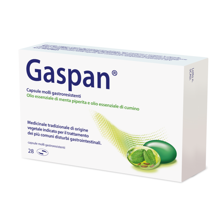 GASPAN 28CPS MOLLI GASTRORES